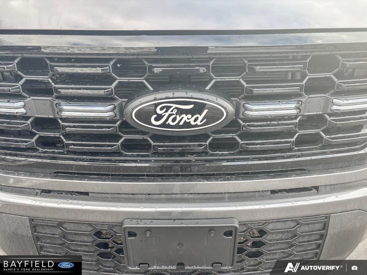 2025 Ford F-150 STX Photo