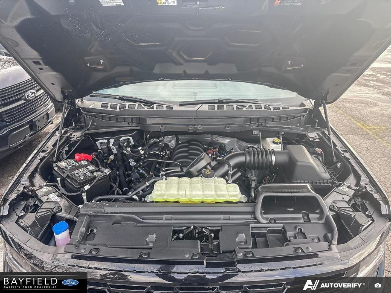 2025 Ford F-150 STX Photo