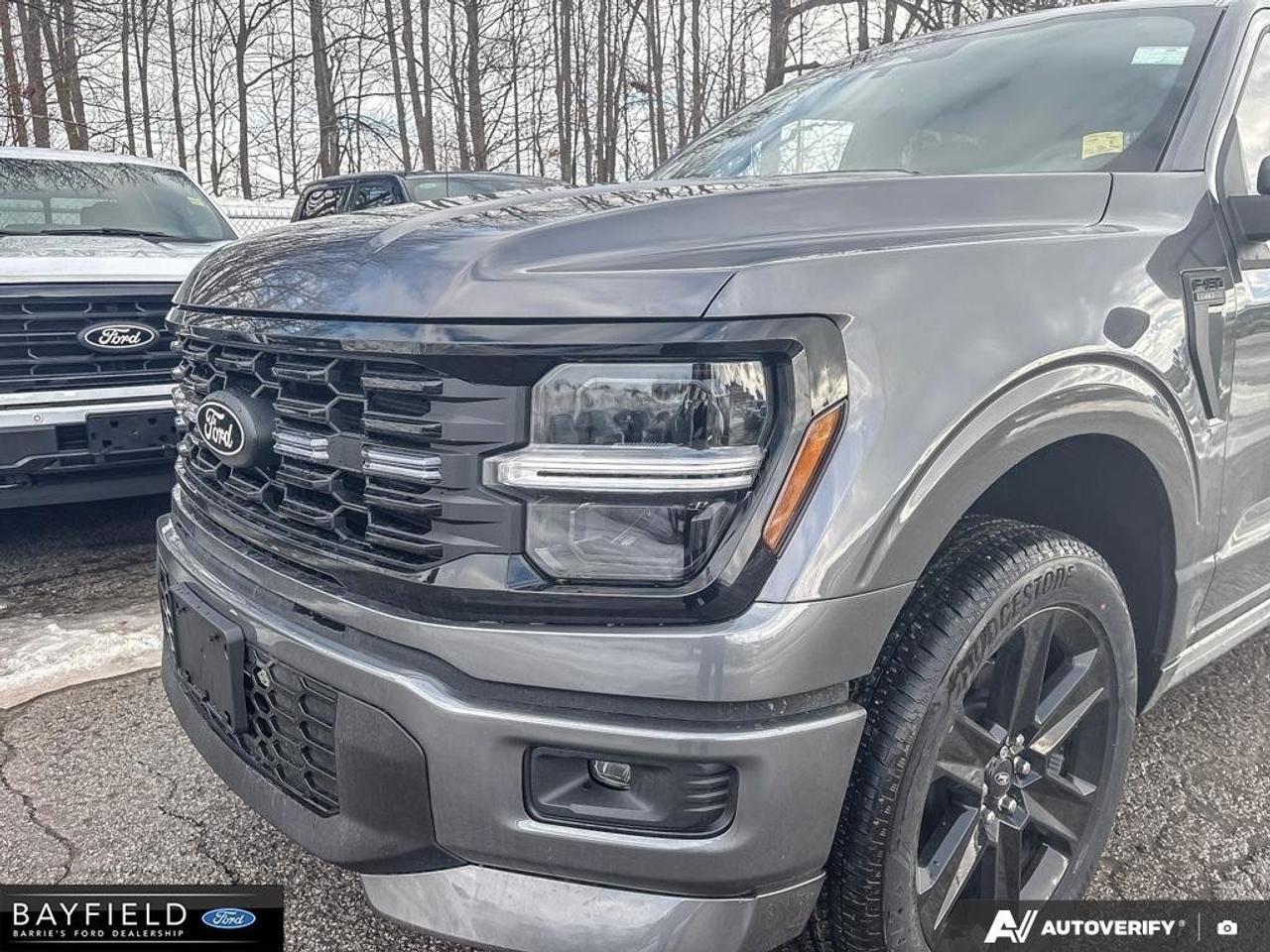 2025 Ford F-150 STX Photo