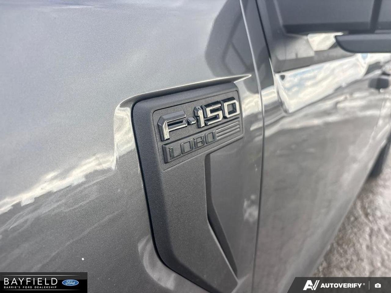 2025 Ford F-150 STX Photo
