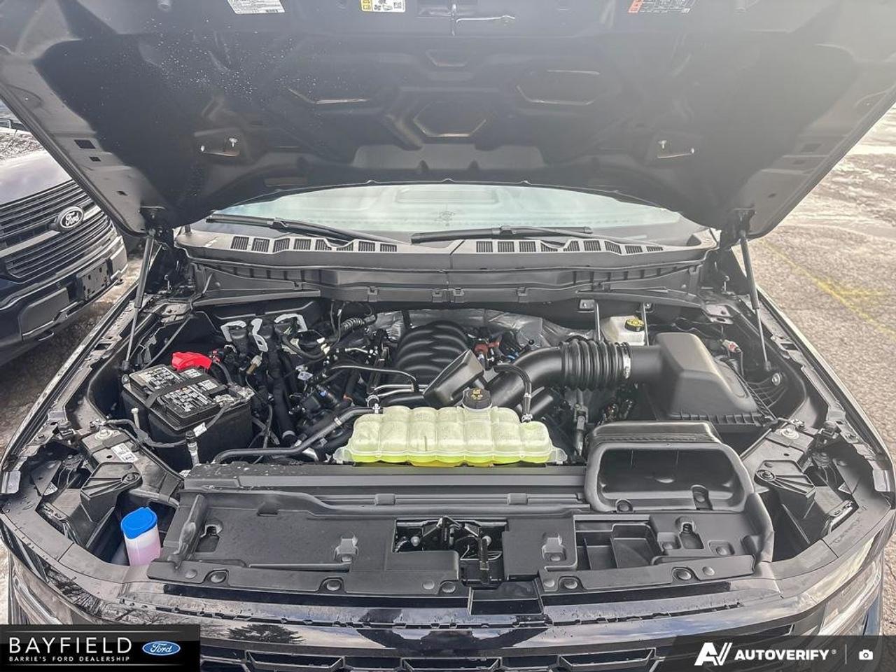 2025 Ford F-150 STX Photo