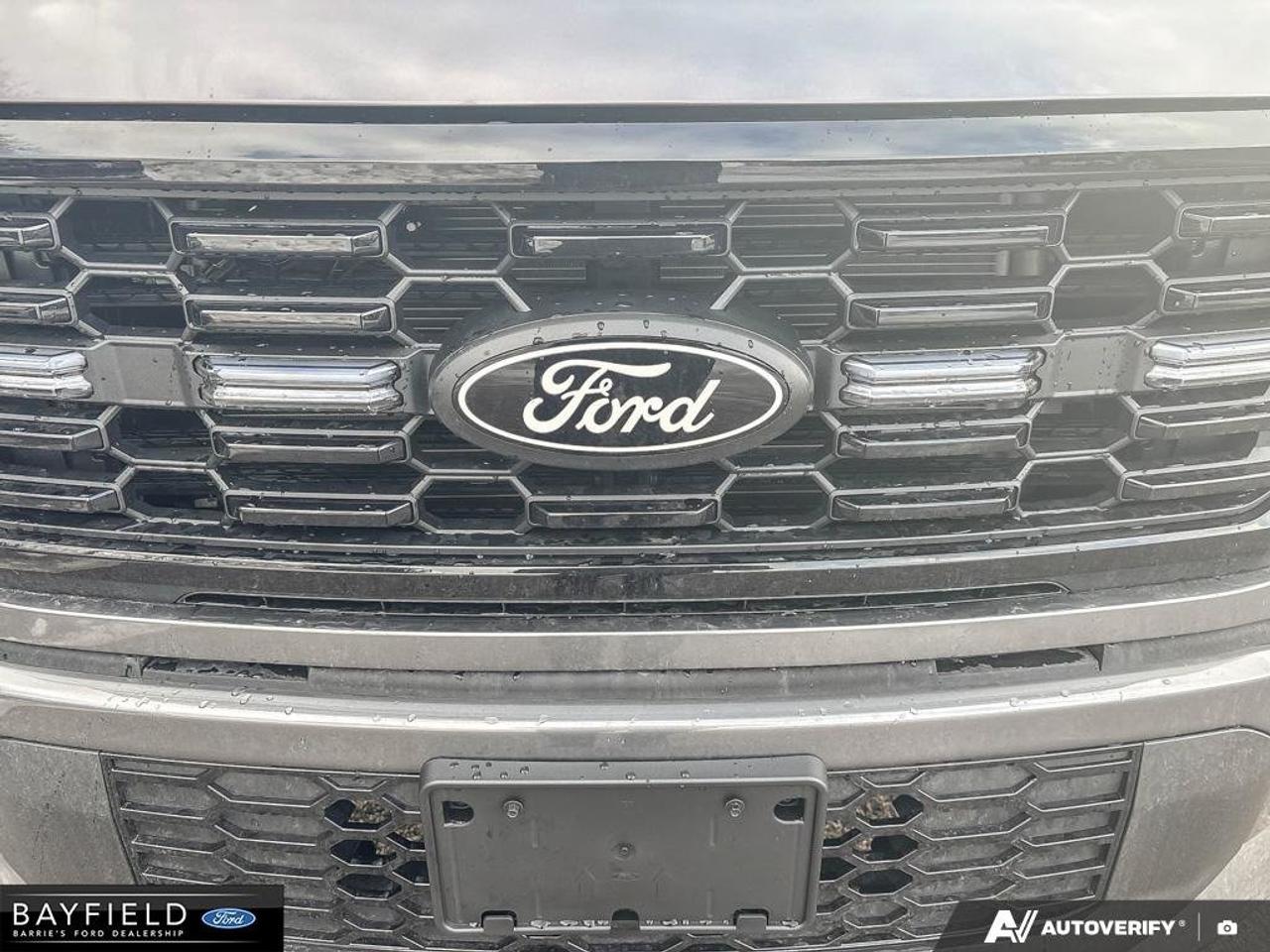 2025 Ford F-150 STX Photo