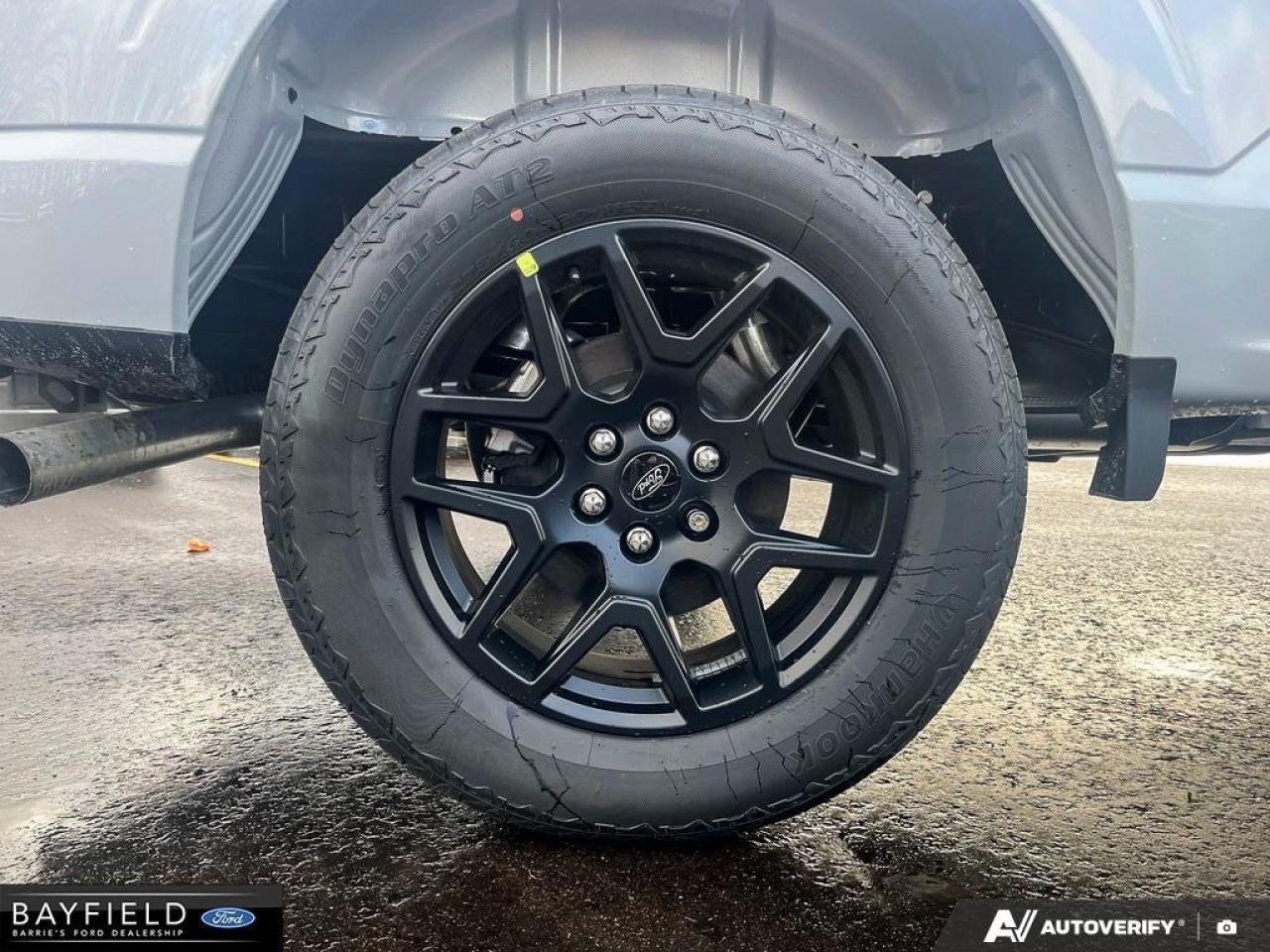 2025 Ford F-150 STX Photo