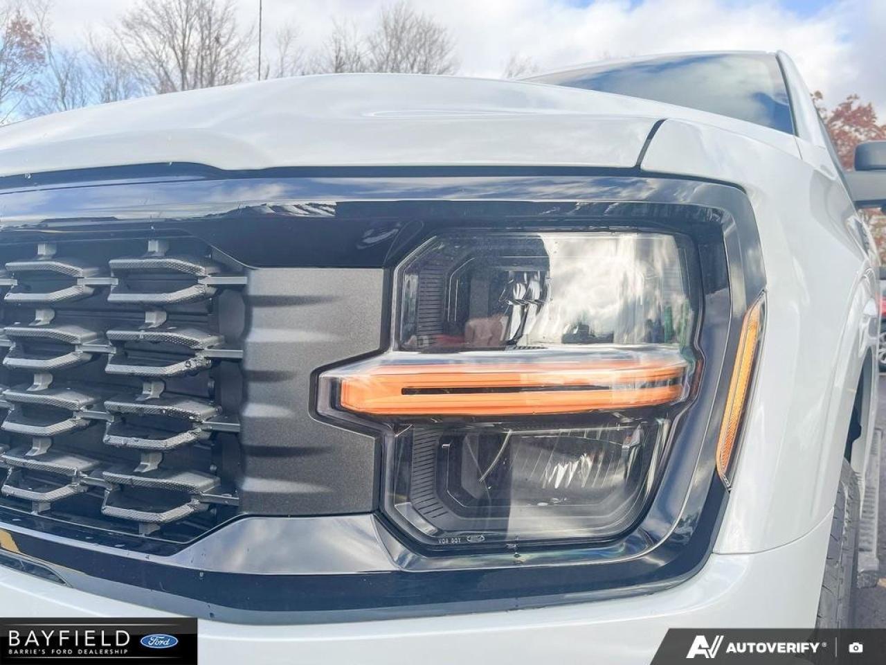 2025 Ford F-150 STX Photo