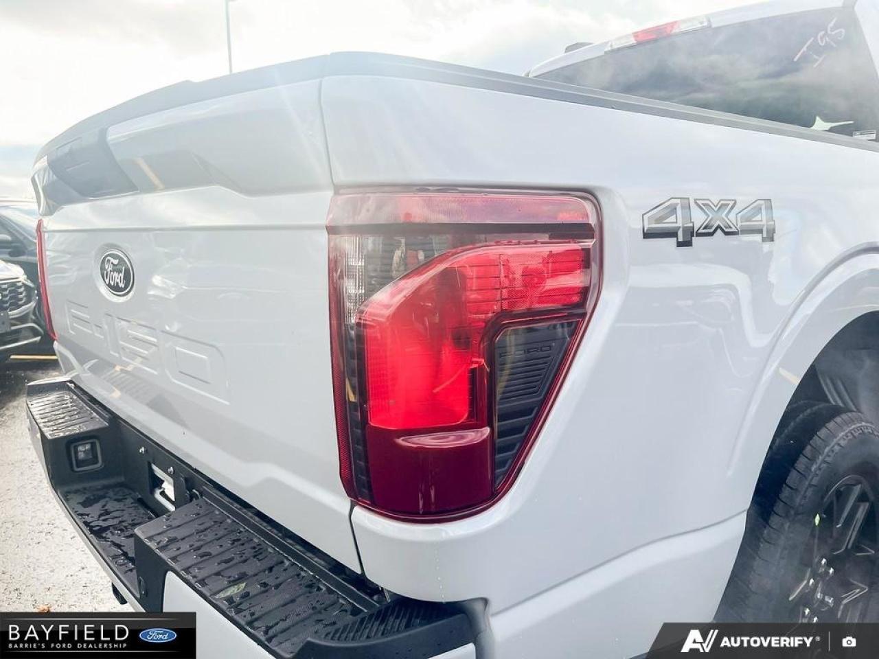 2025 Ford F-150 STX Photo