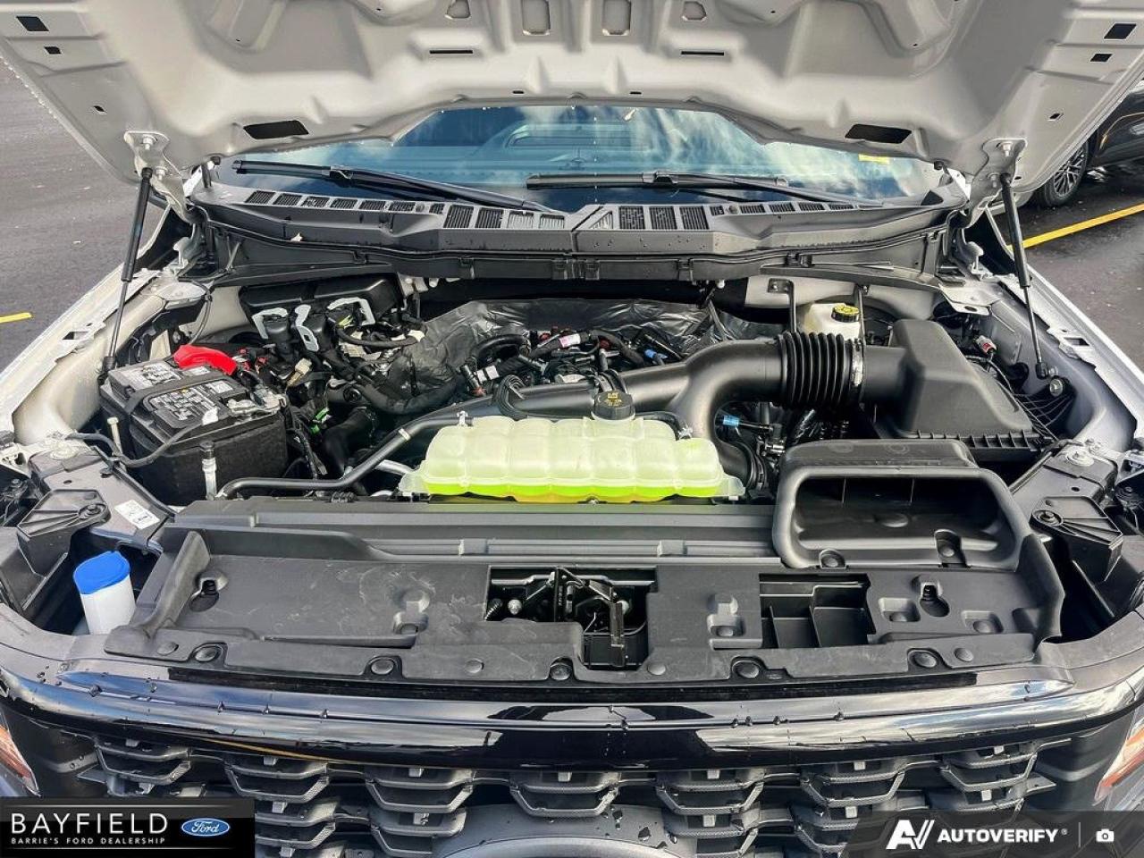 2025 Ford F-150 STX Photo