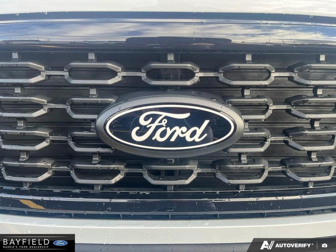 2025 Ford F-150 STX Photo