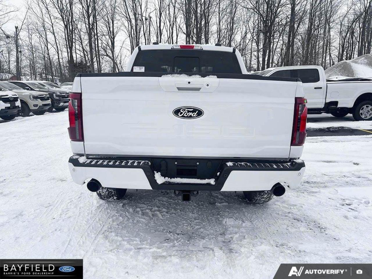 2025 Ford F-150 XLT Photo
