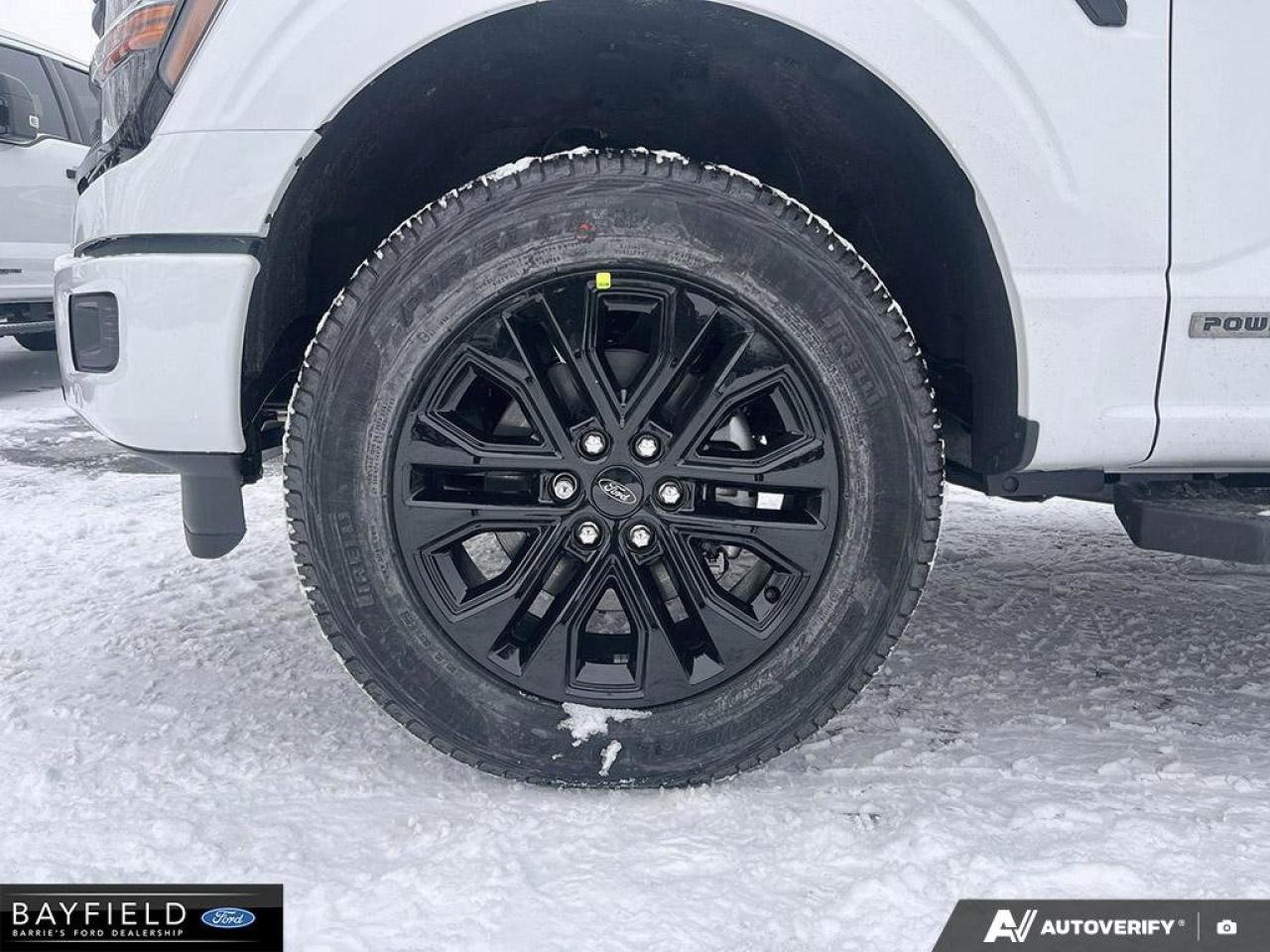 2025 Ford F-150 XLT Photo