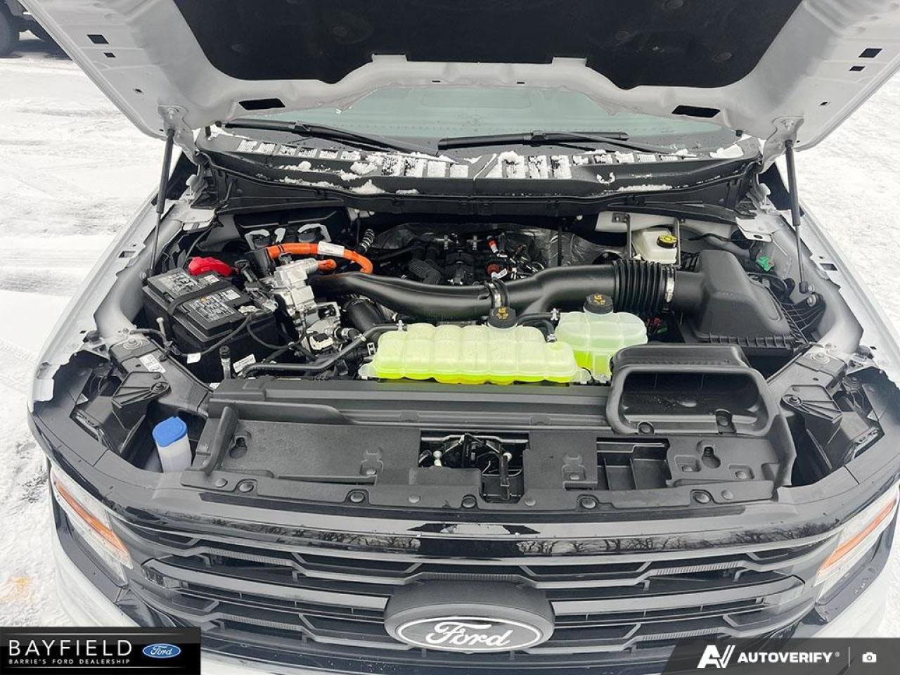 2025 Ford F-150 XLT Photo