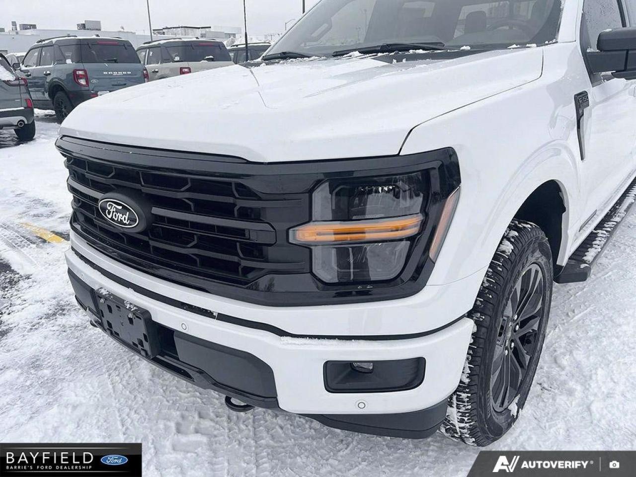 2025 Ford F-150 XLT Photo
