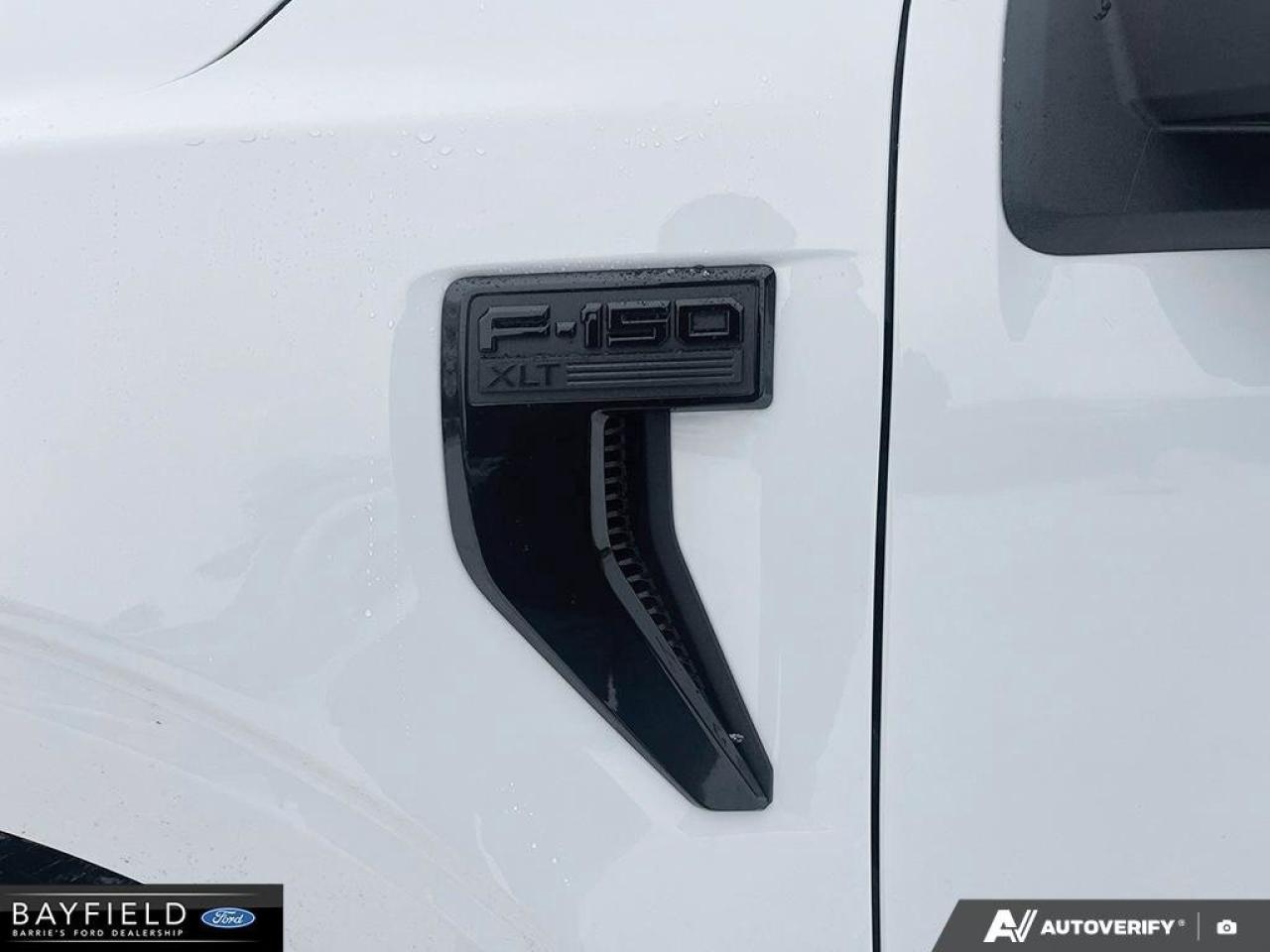 2025 Ford F-150 XLT Photo