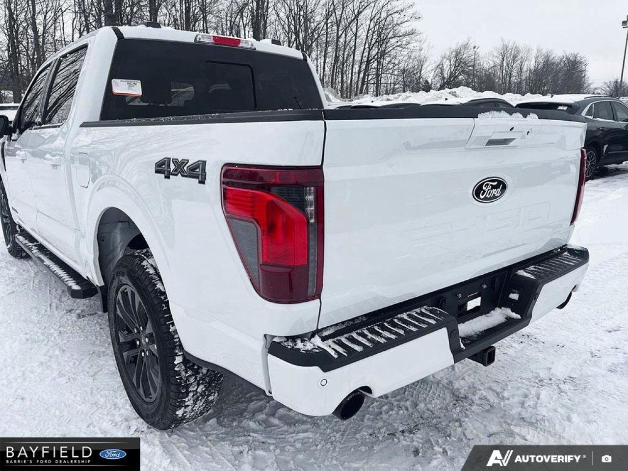 2025 Ford F-150 XLT Photo