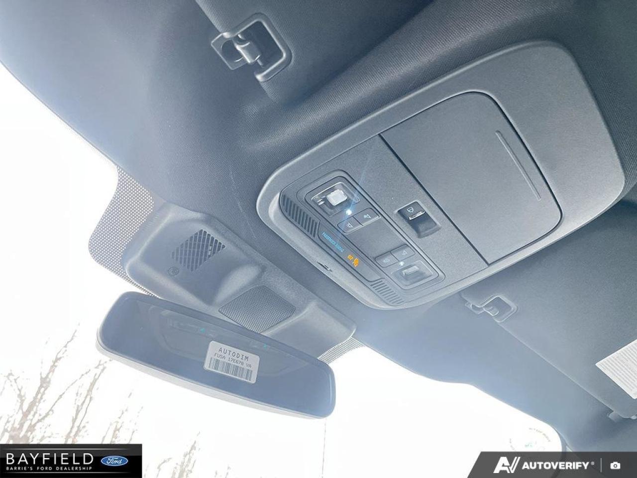 2025 Ford F-150 XLT Photo