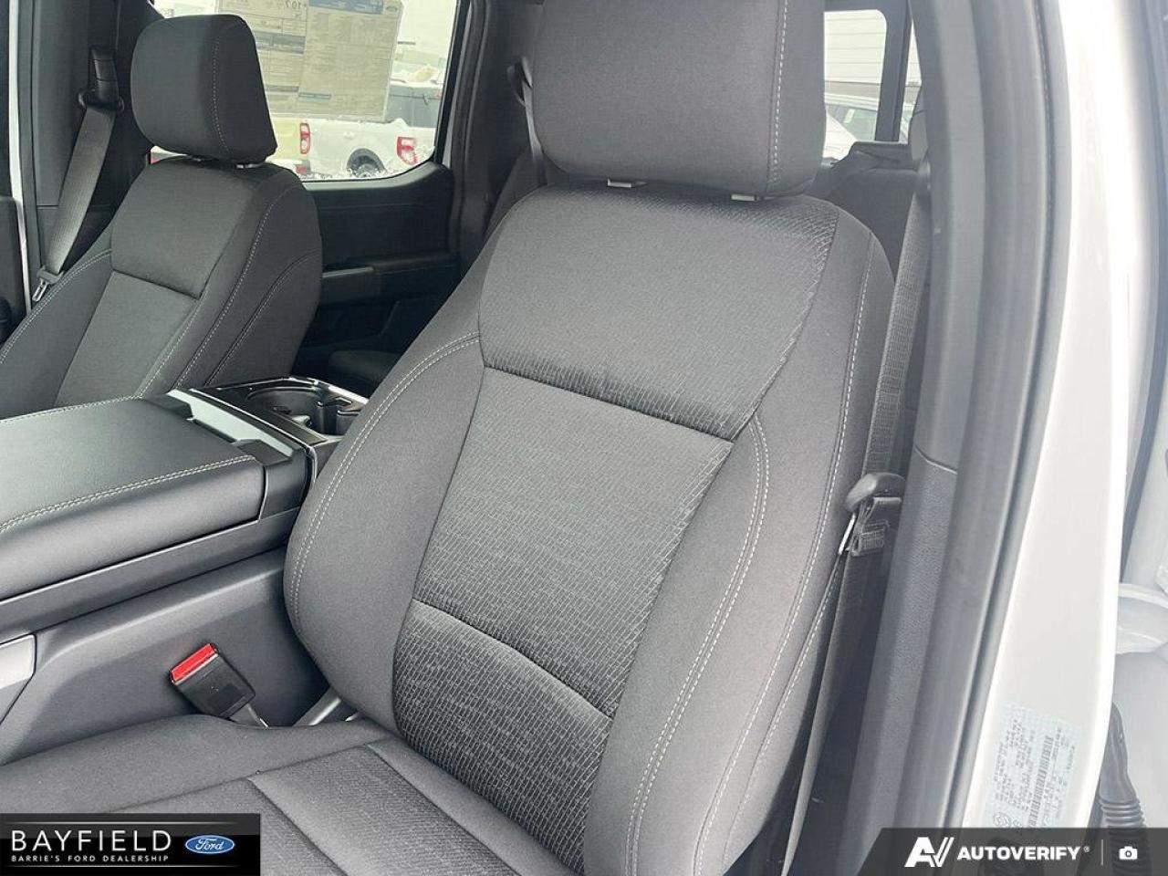 2025 Ford F-150 XLT Photo