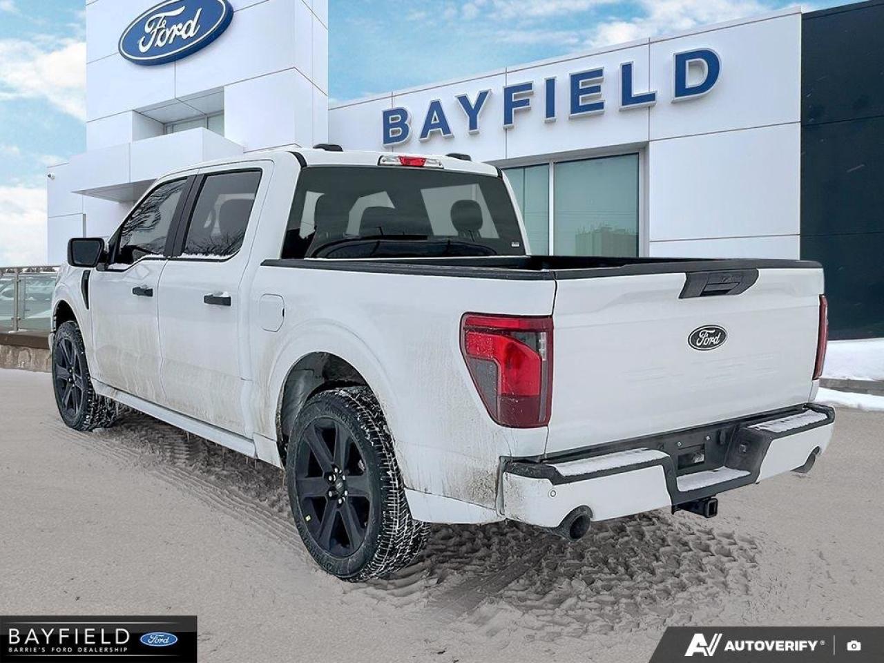 2025 Ford F-150 STX Photo