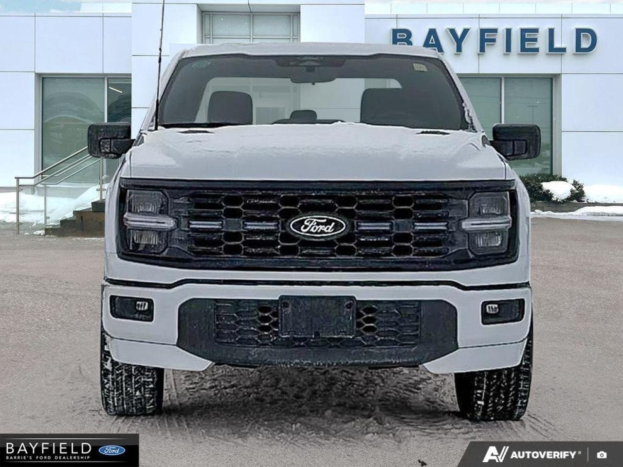 2025 Ford F-150 STX Photo