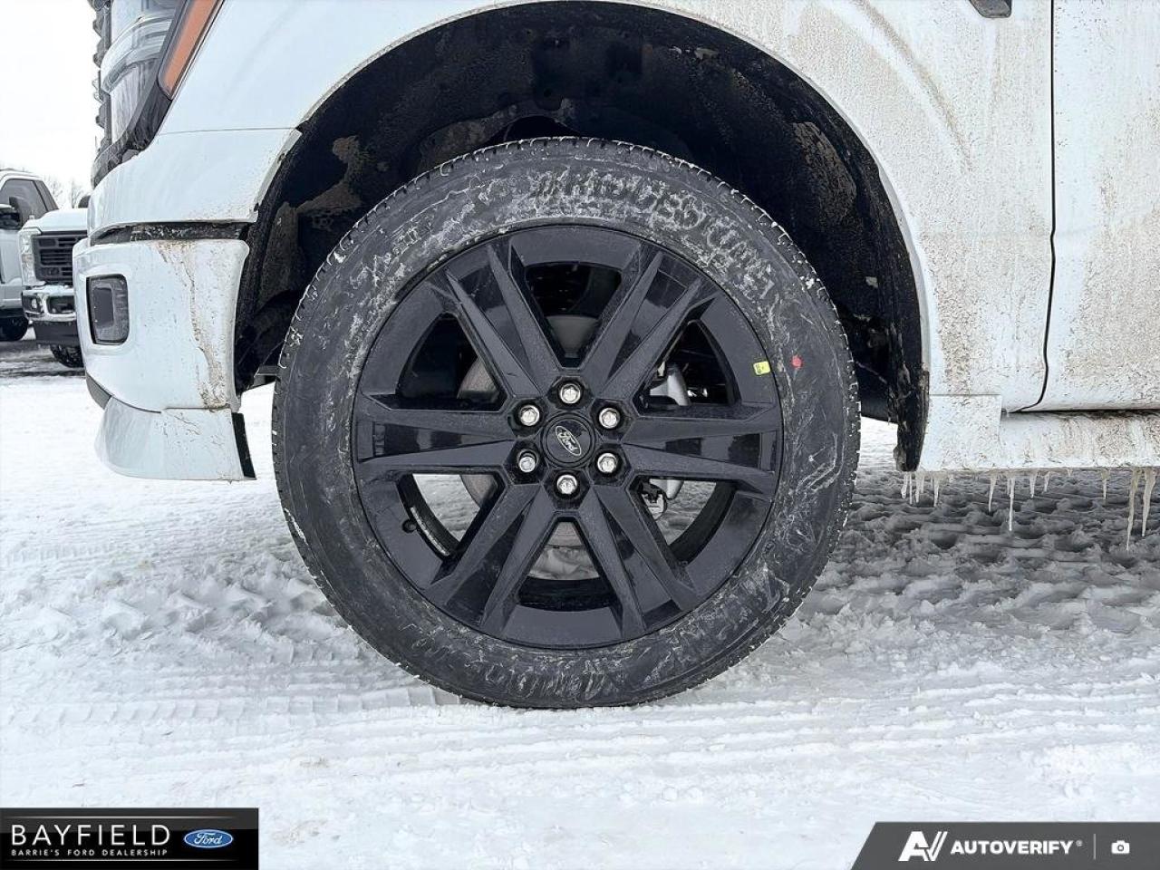 2025 Ford F-150 STX Photo