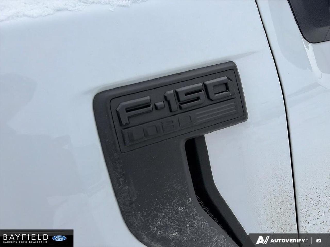 2025 Ford F-150 STX Photo