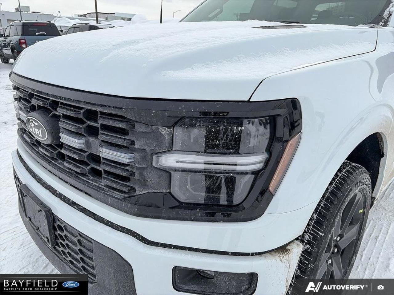 2025 Ford F-150 STX Photo