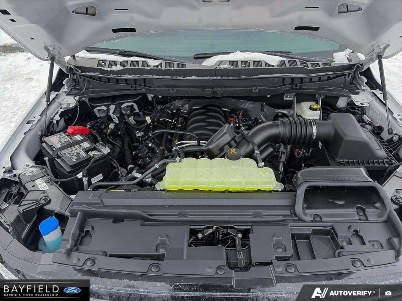 2025 Ford F-150 STX Photo