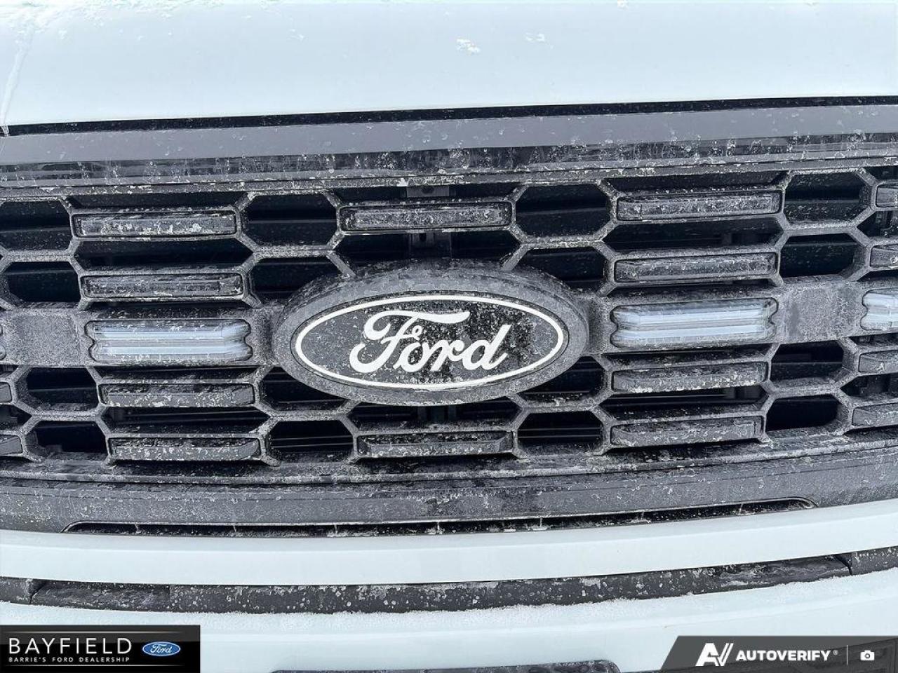 2025 Ford F-150 STX Photo