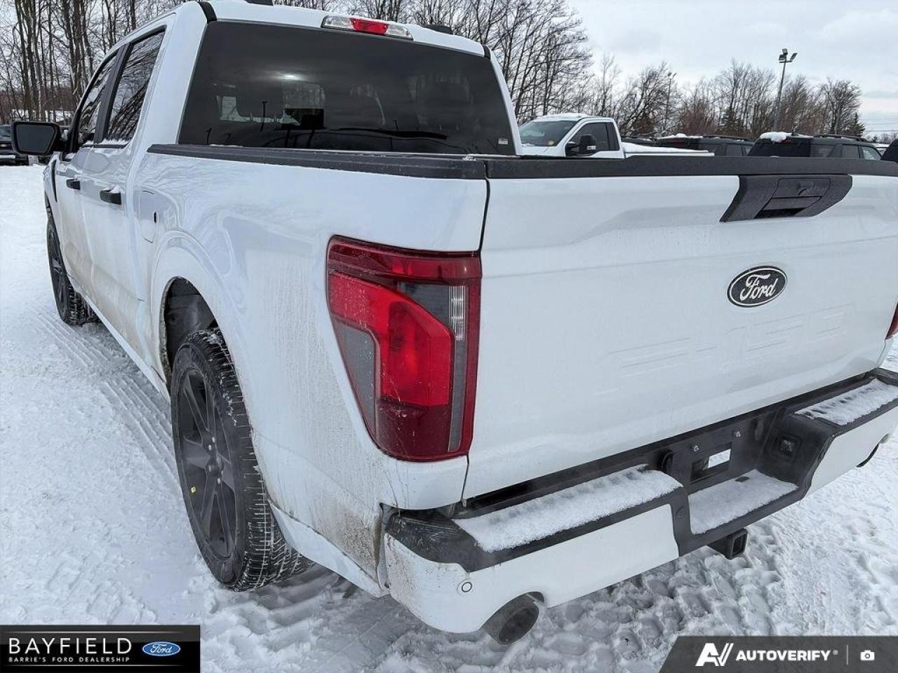 2025 Ford F-150 STX Photo