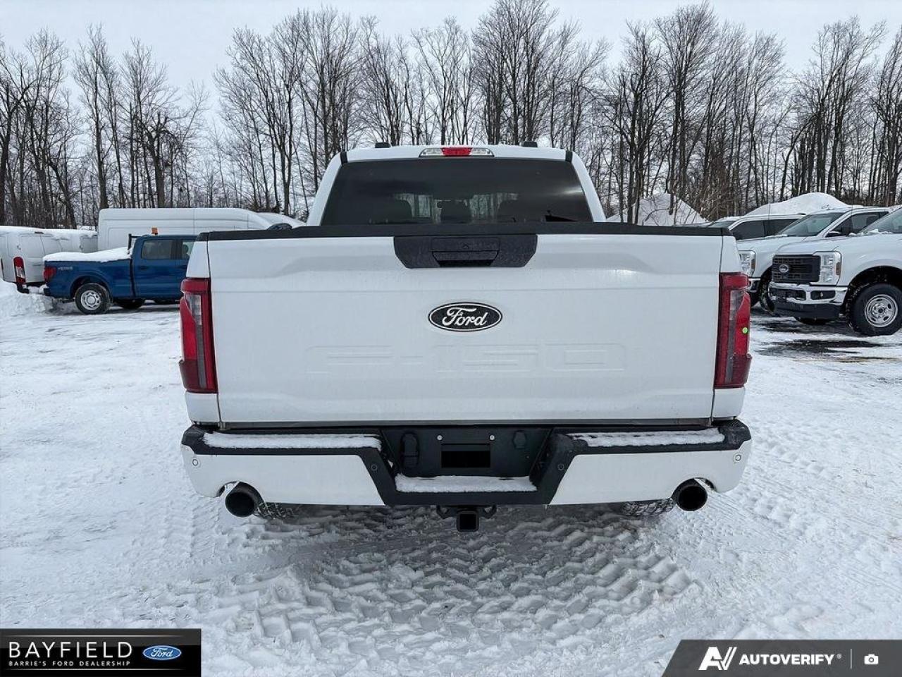 2025 Ford F-150 STX Photo