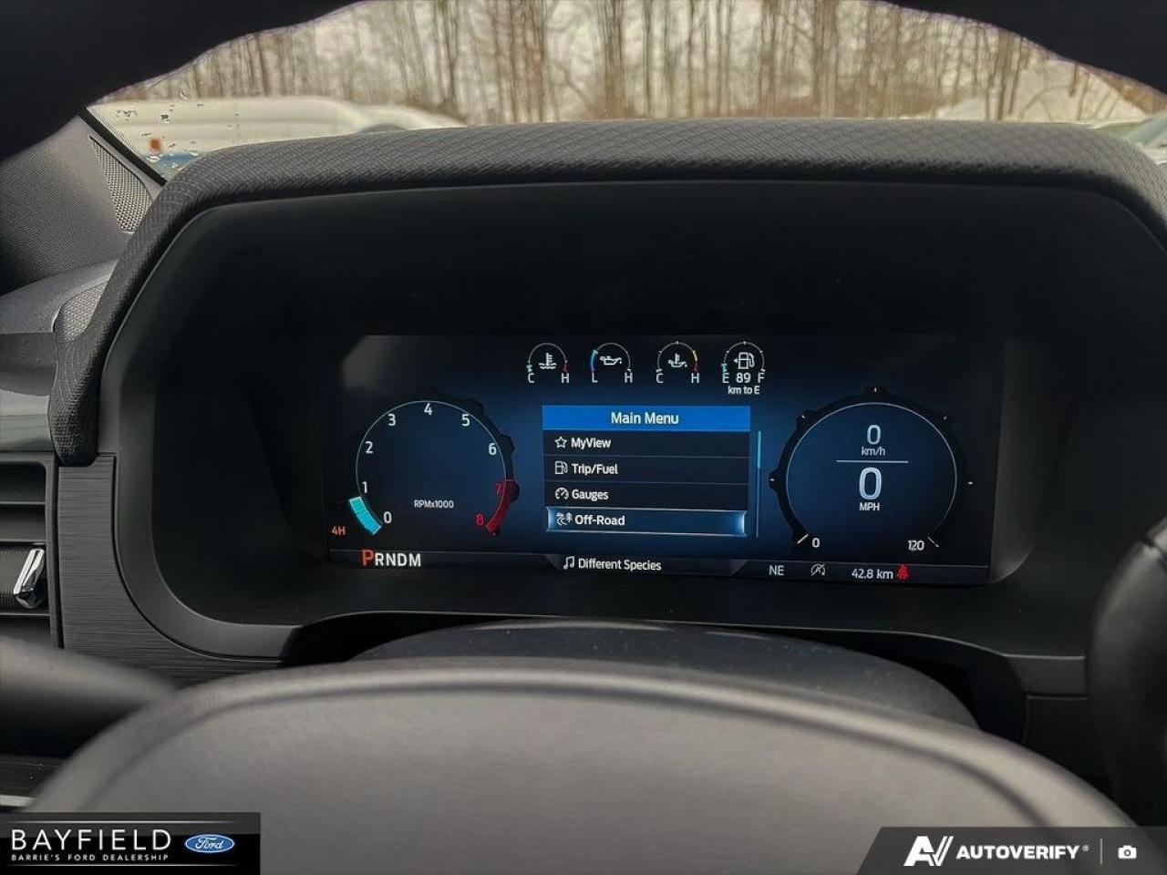 2025 Ford F-150 STX Photo