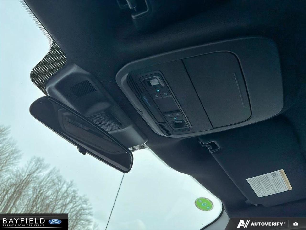 2025 Ford F-150 STX Photo