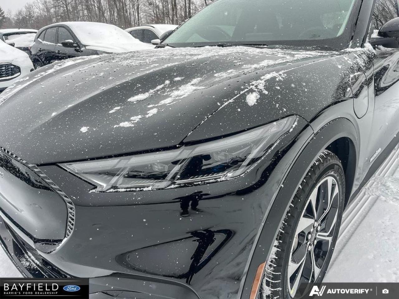 2025 Ford Mustang Mach-E Select Photo