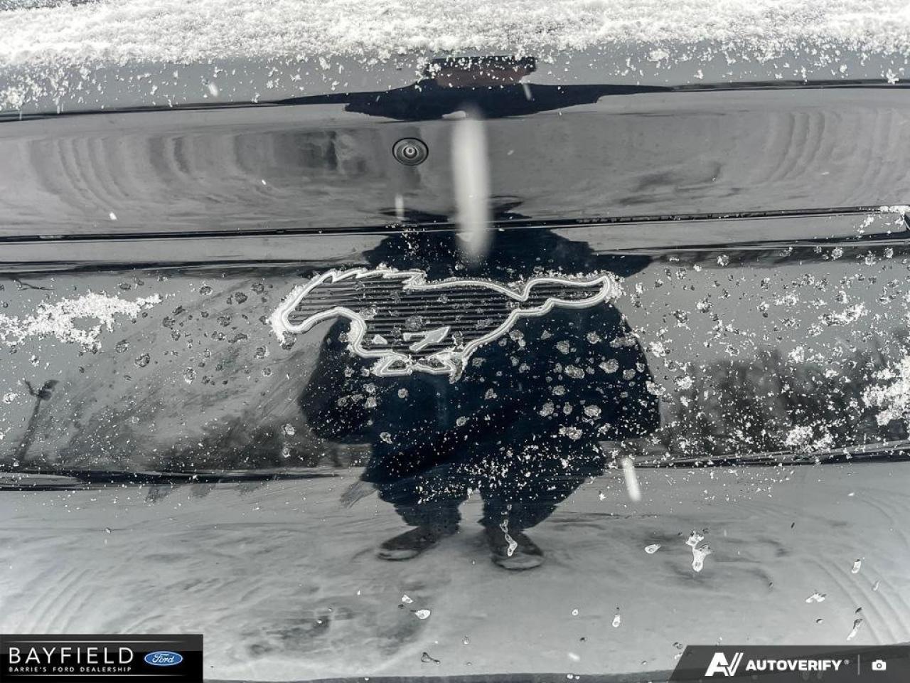 2025 Ford Mustang Mach-E Select Photo