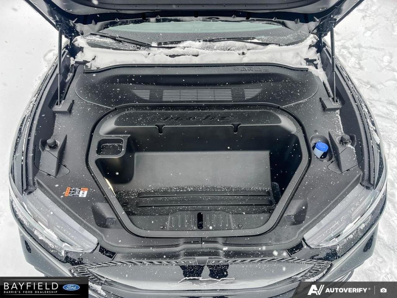 2025 Ford Mustang Mach-E Select Photo