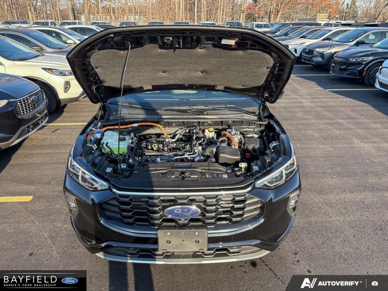 2026 Ford Escape ST-Line Elite Photo