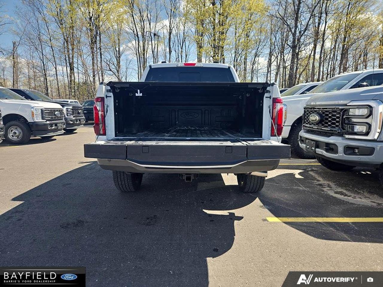 2026 Ford F-150 King Ranch Photo
