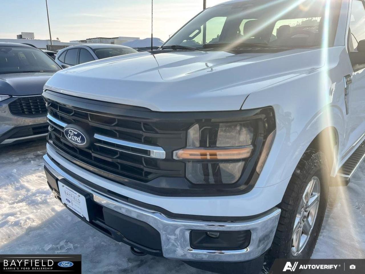 2024 Ford F-150 XLT Photo