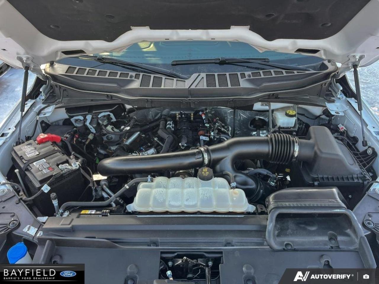 2024 Ford F-150 XLT Photo