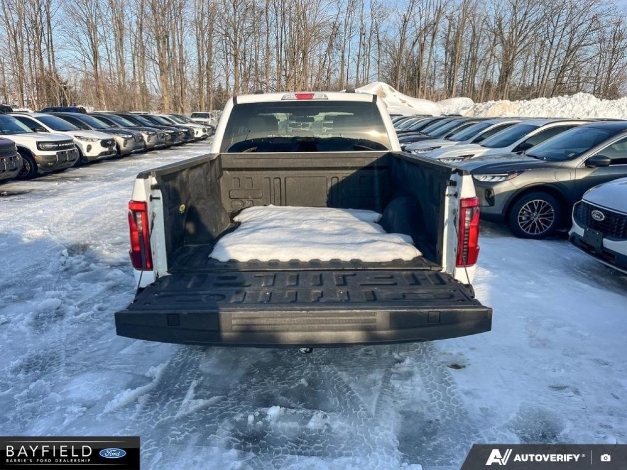 2024 Ford F-150 XLT Photo