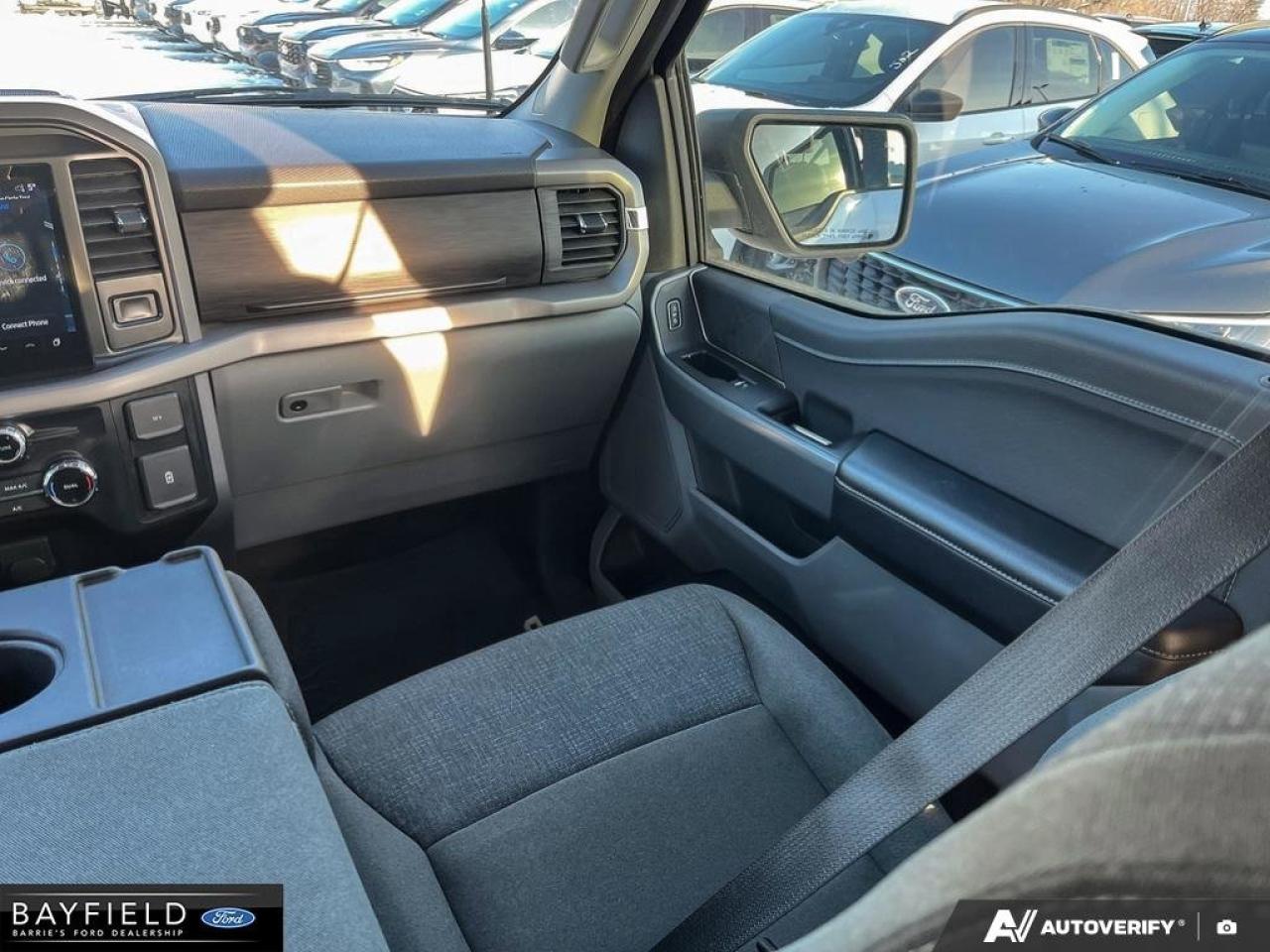 2024 Ford F-150 XLT Photo