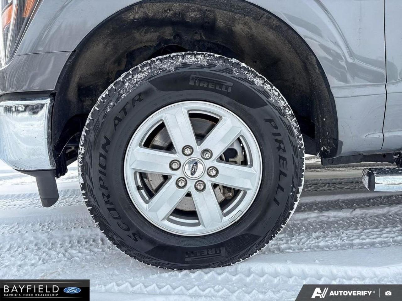 2023 Ford F-150  Photo