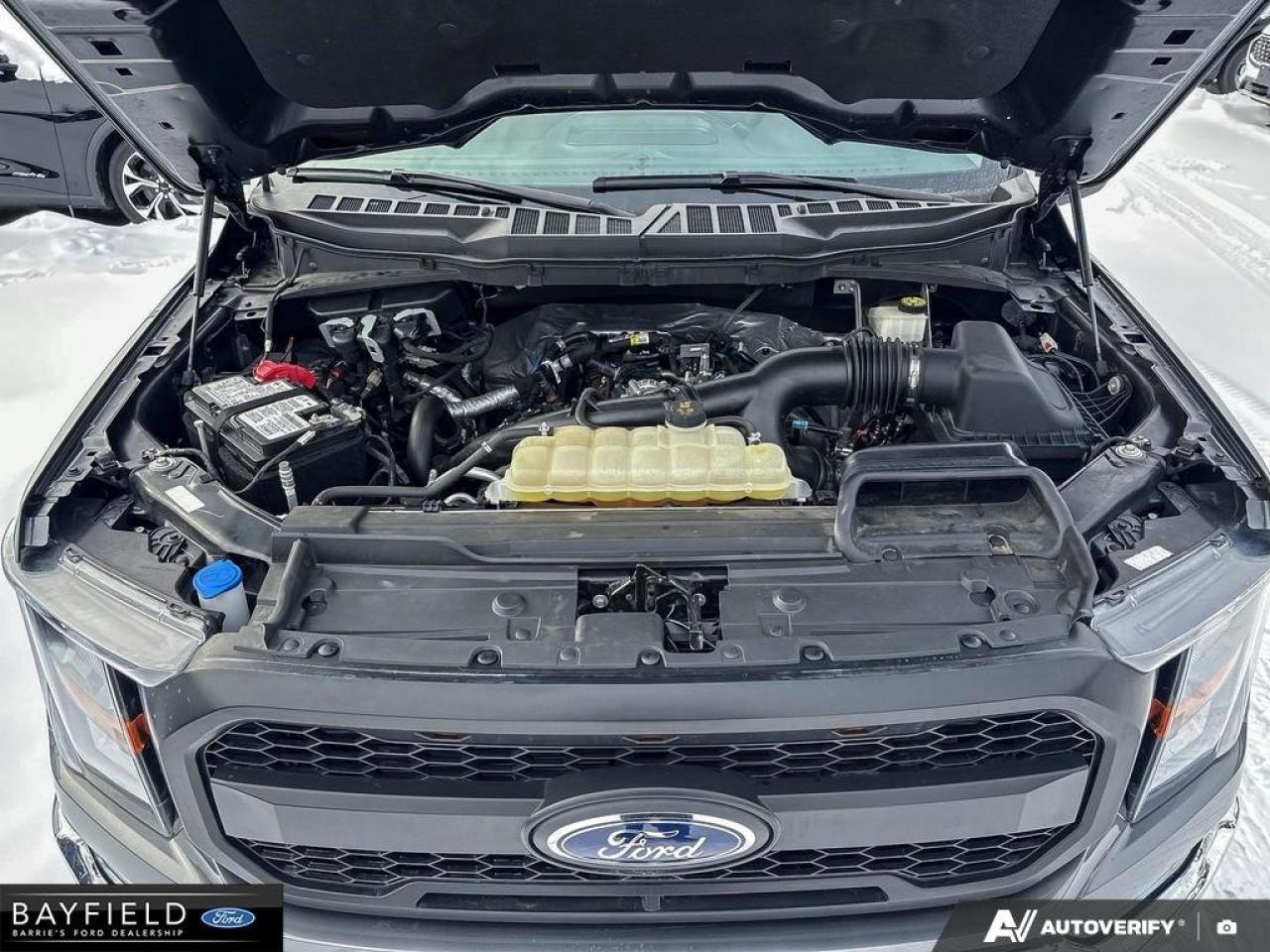 2023 Ford F-150  Photo