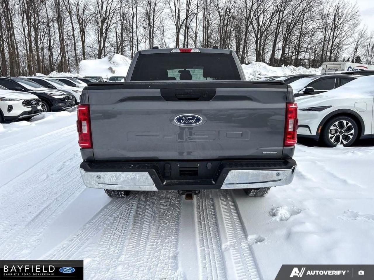 2023 Ford F-150  Photo