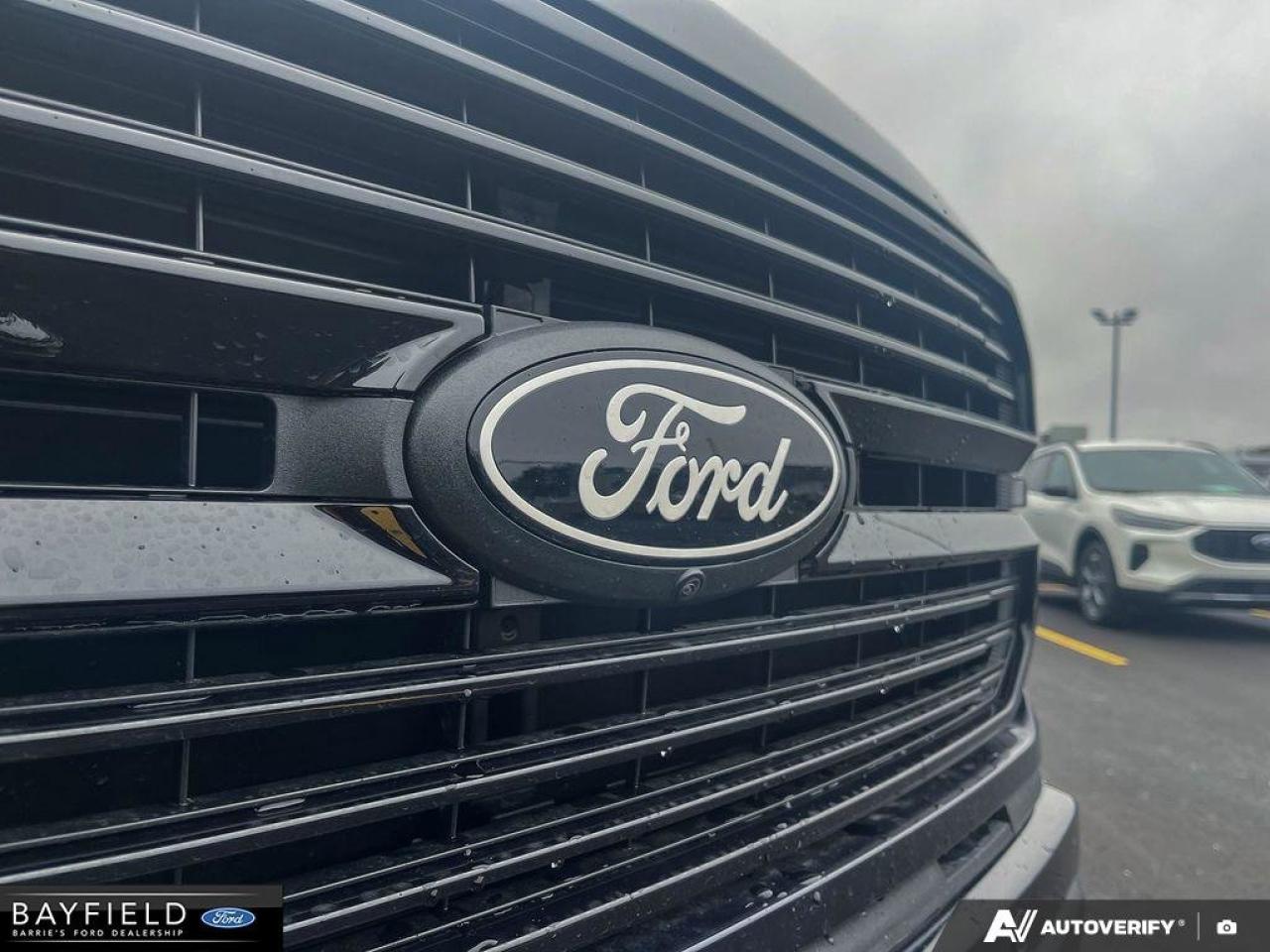 2025 Ford F-150 Platinum Photo