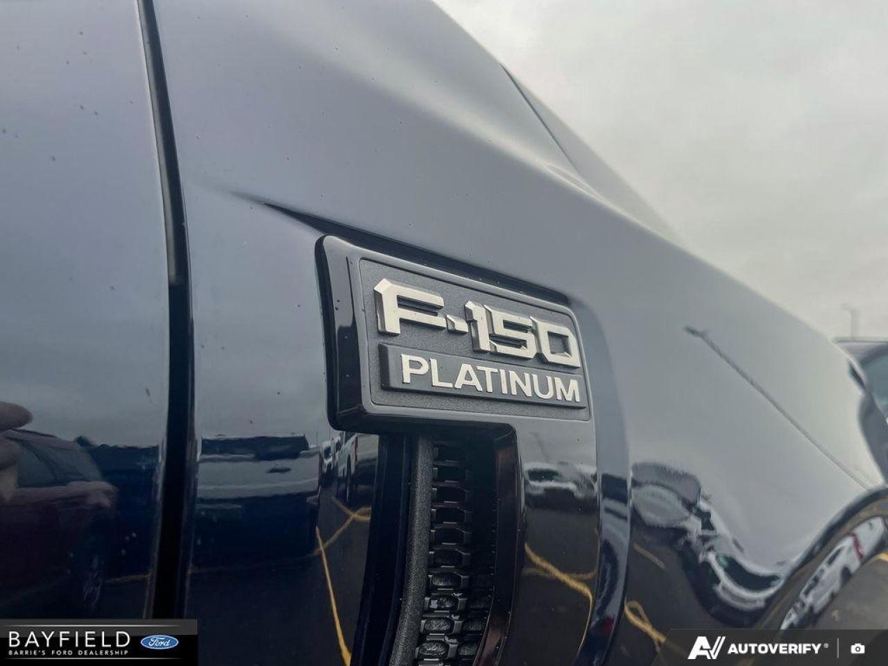 2025 Ford F-150 Platinum Photo