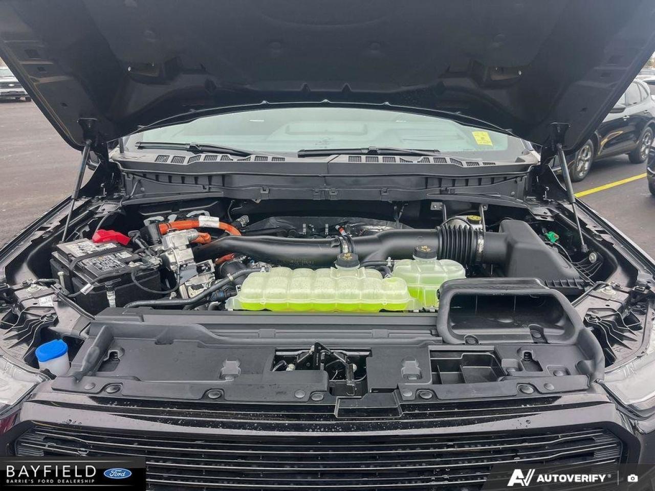 2025 Ford F-150 Platinum Photo