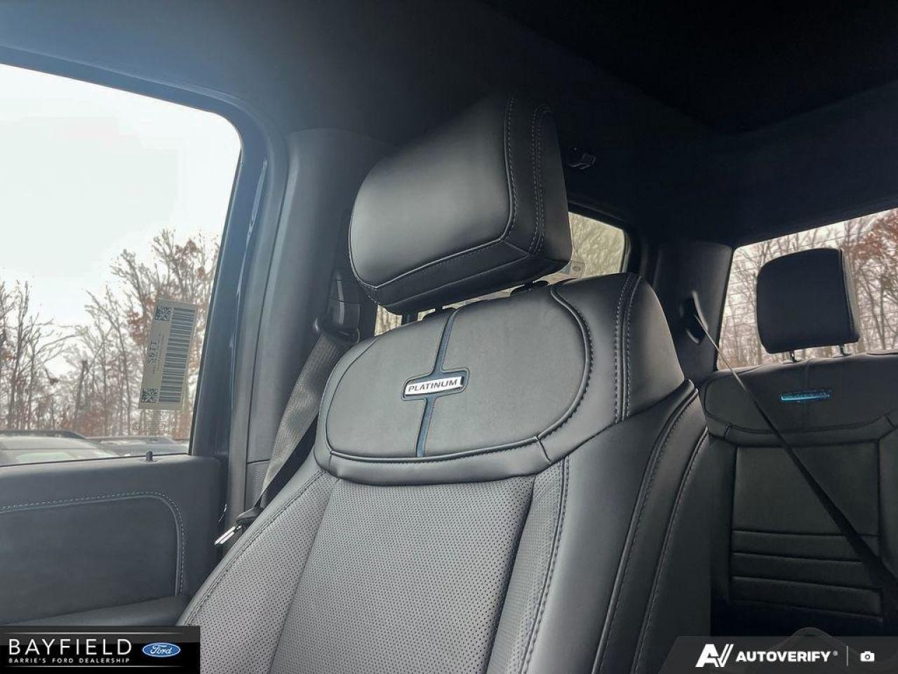 2025 Ford F-150 Platinum Photo