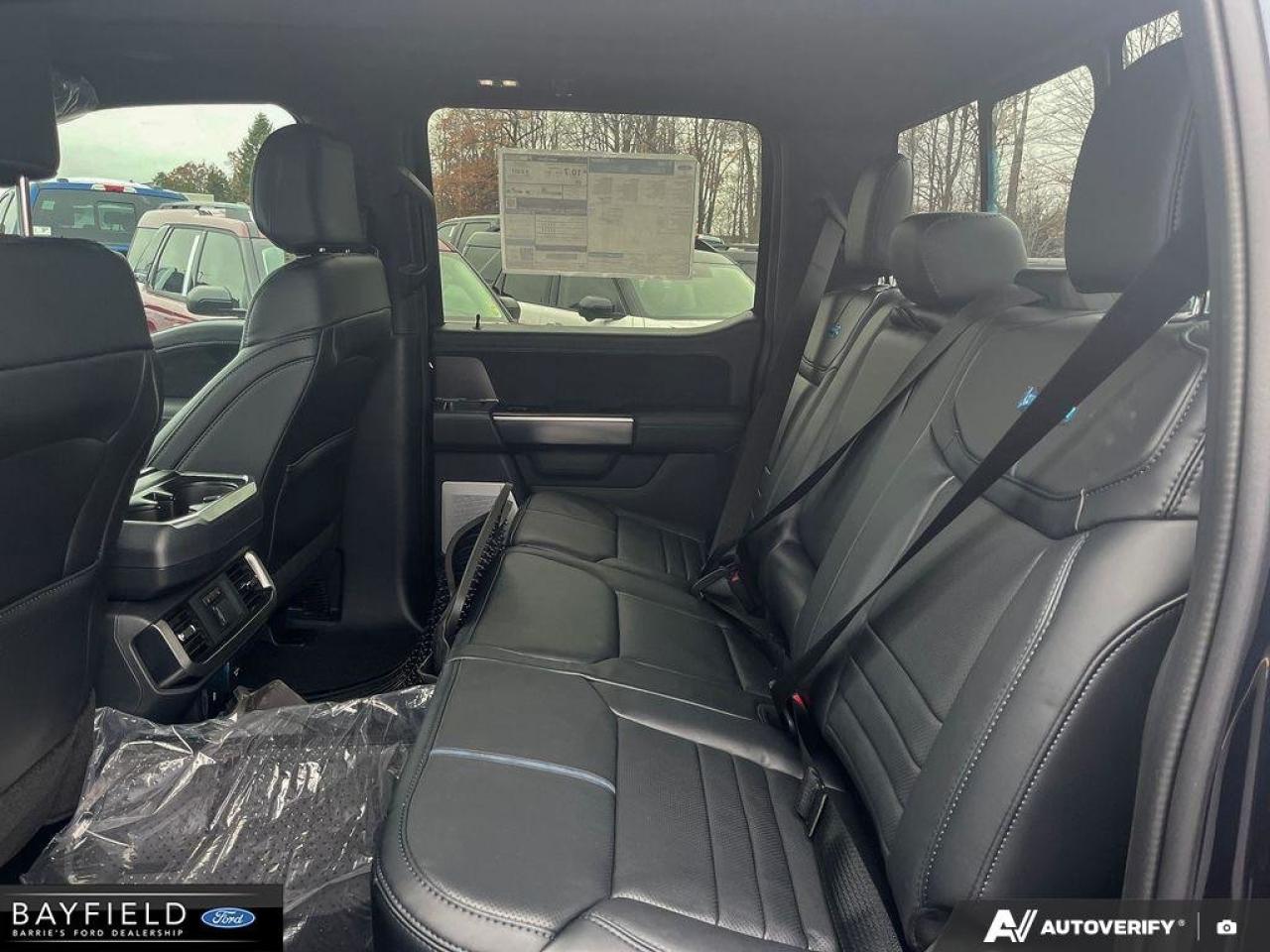 2025 Ford F-150 Platinum Photo