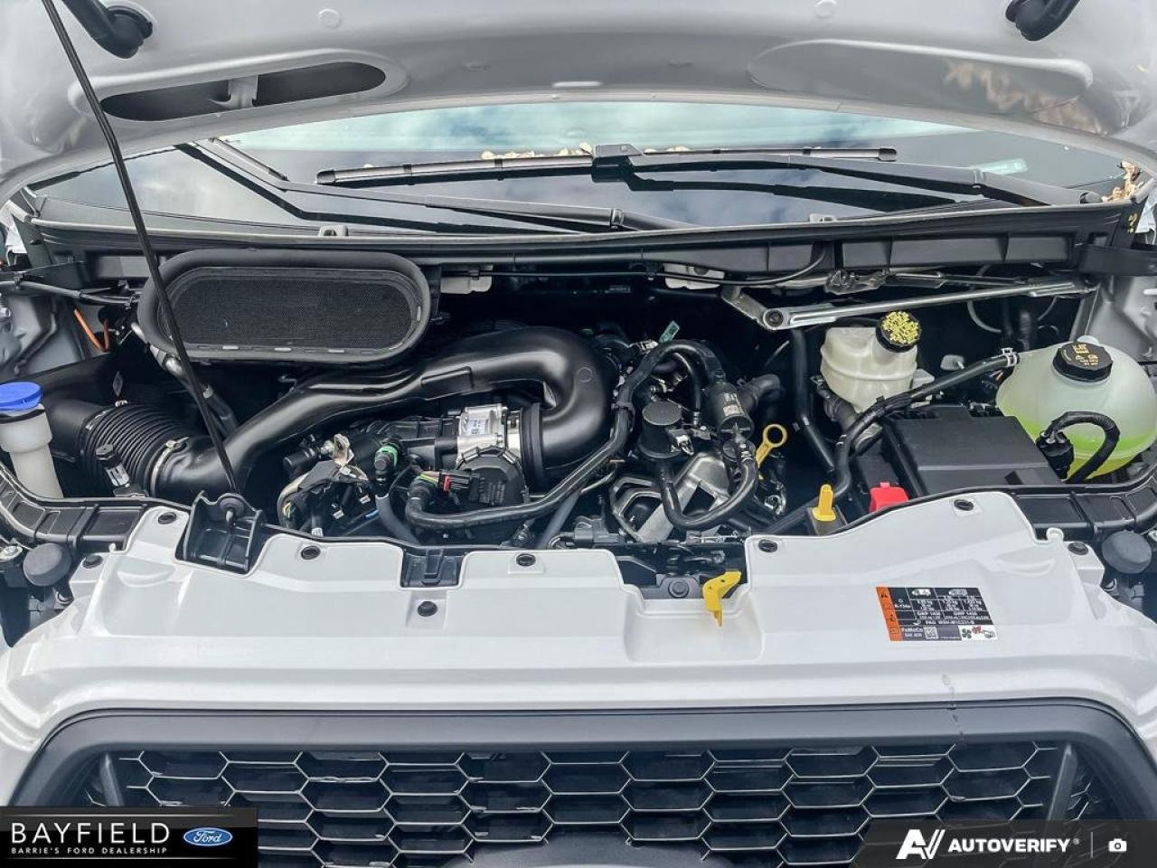 2025 Ford Transit Cargo Van  Photo