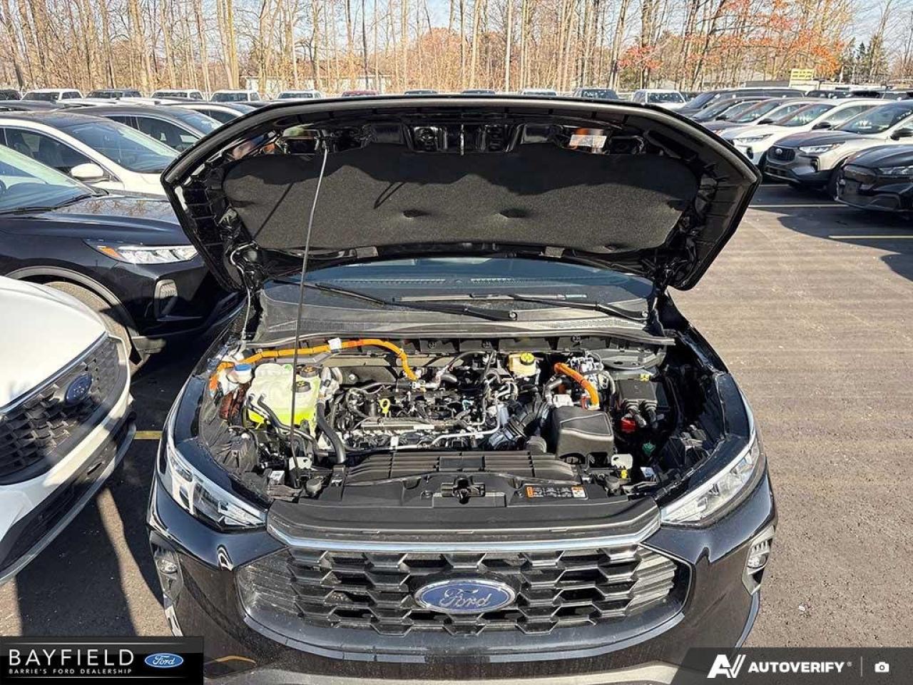 2026 Ford Escape ST-Line Select Photo