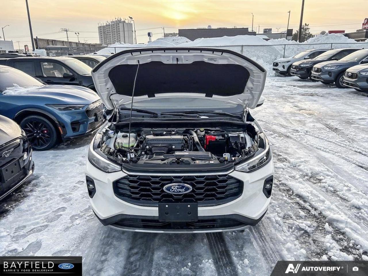 2026 Ford Escape ST-Line Select Photo